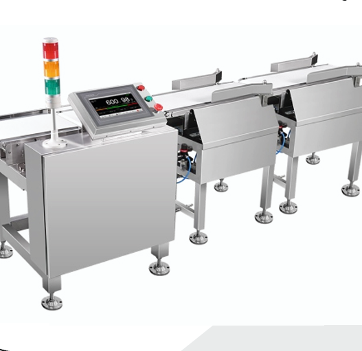 Weighing & Sorting Machine